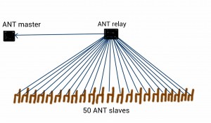 50 ANT slaves connected to one ANT master via ANT relay