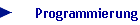 Programmierung